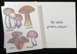 Mushrooms in Latvian