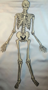 Bendy Skeleton