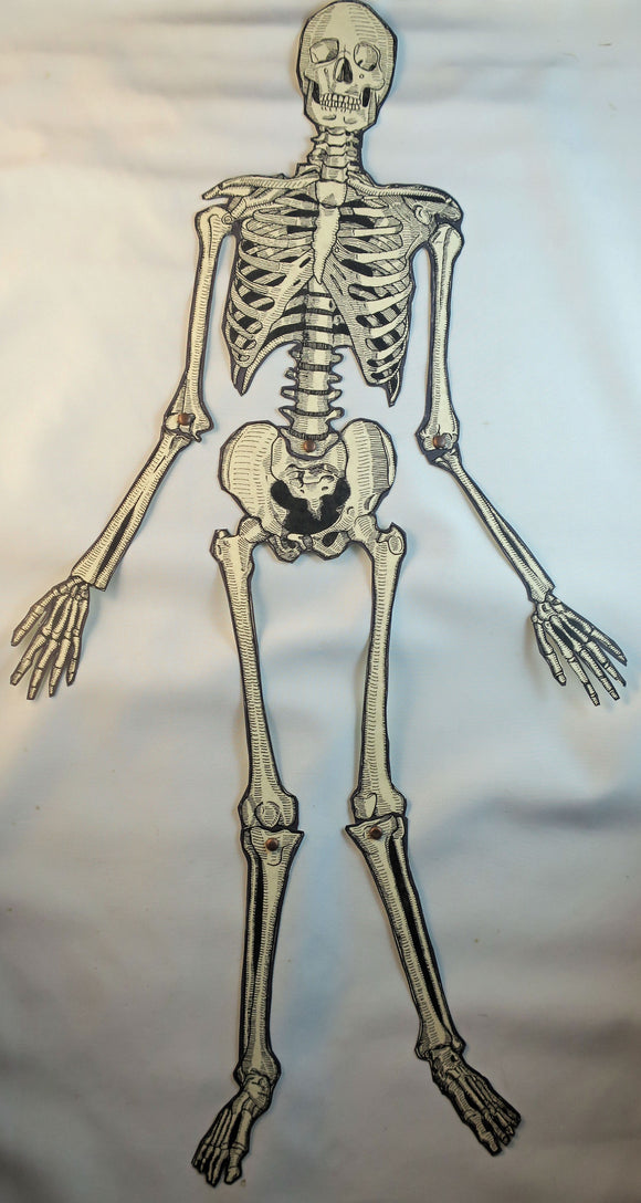 Bendy Skeleton