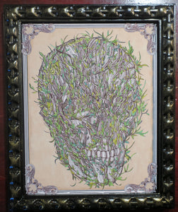 Overgrown Skull Framed Print