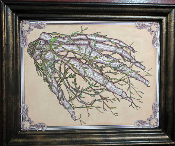 Overgrown Skeleton Hand Framed Print