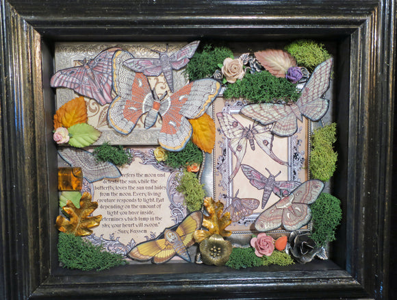 Moth Shadowbox #8