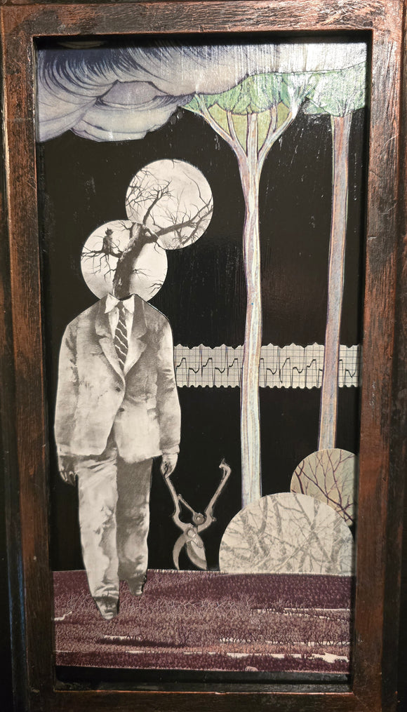 The Heartbeat of the Forest