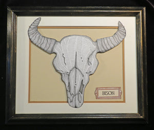 Bison Skull