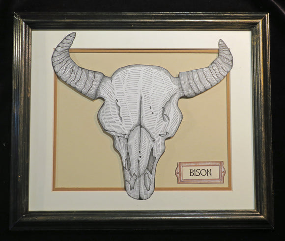 Bison Skull
