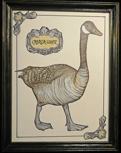 Canada Goose