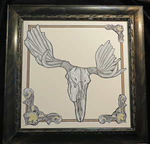 Moose Skull