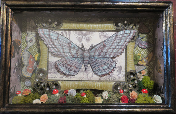Moth Shadowbox #7