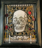 Human Skull Shadowbox