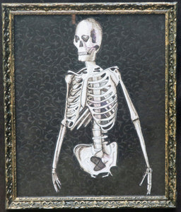 Skeleton Torso and skull framed print