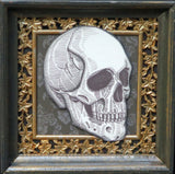 human skull shadowbox with wood outside frame and metal inside