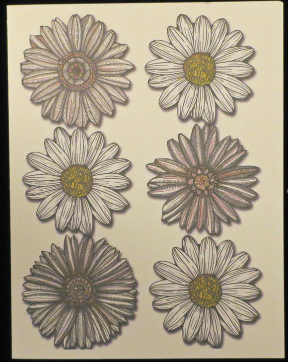 Daisies