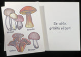 Mushrooms in Latvian
