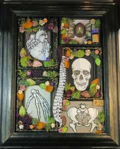 Assemblage #20 Anatomical