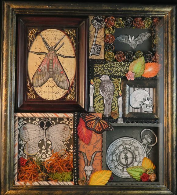 shadowbox art with insect key bat human and goat skull pocket watch moss