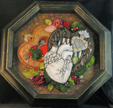 Heart Series January 2023