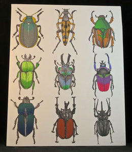 Beetles