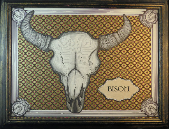 Bison Skull