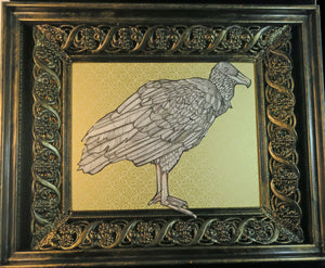 Black Vulture Original Illustration in Shadowbox
