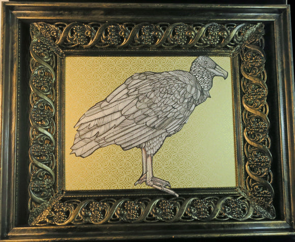 Black Vulture Original Illustration in Shadowbox