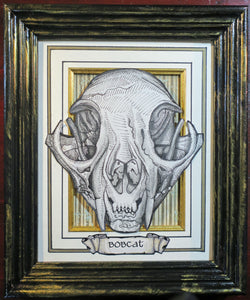 Cat Skulls