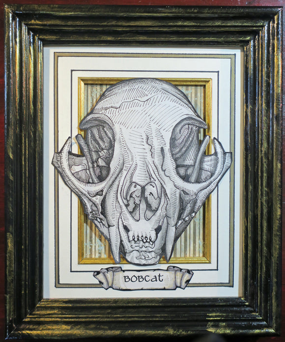 Cat Skulls