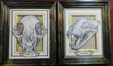 Cat Skulls