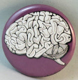 human brain anatomical button magnet