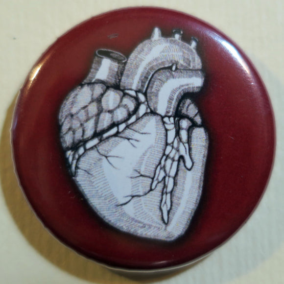 human heart anatomical button magnet