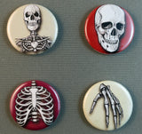 human bones skull buttons magnets