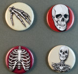 human anatomy bones ribs skull buttons magnets