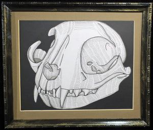 Cat Skull 3