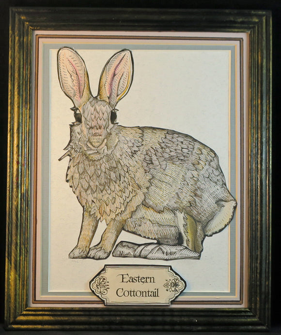 Eastern Cottontail