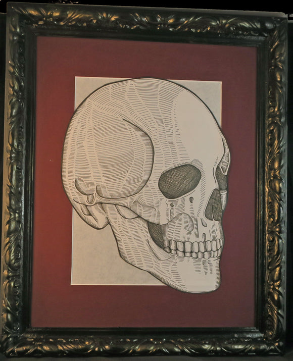 Skull