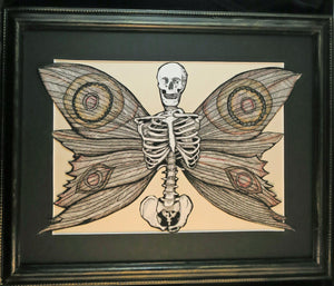 Human Skeleton Moth Prints