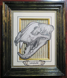 Cat Skulls