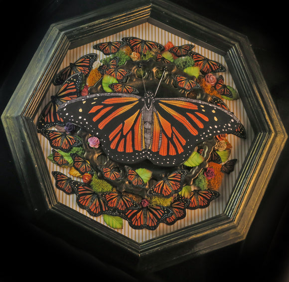 Monarch Butterfly Shadowbox