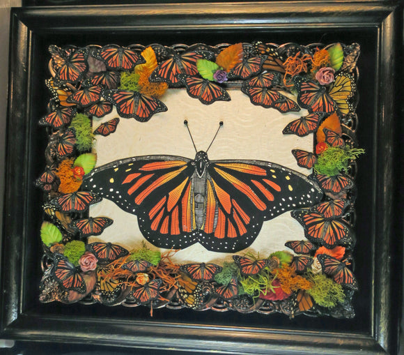 Monarch Butterfly Shadowbox