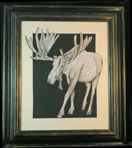 Moose