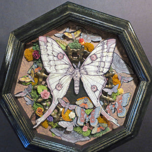 Moth Shadowbox
