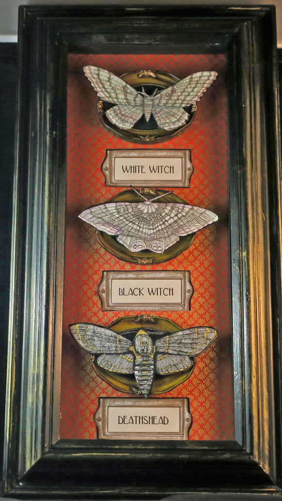 Spooky Moths