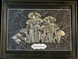Psilcybe Semilanceata Magic Mushrooms Framed Original Illustration