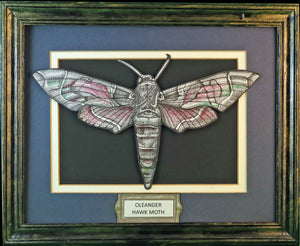 Moths