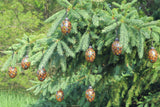 pine cone ornament with eyes