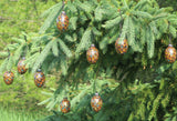 pine cone ornament with eyes