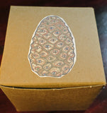 Pine Cone