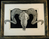 Framed original illustration of  a ram skull