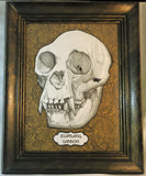 Siamang Gibbon Framed Original Illustration