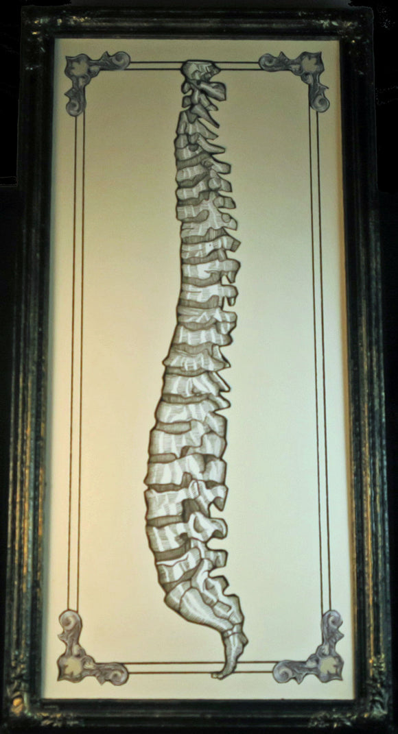 Spine