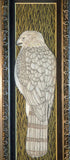 Sharp Shinned Hawk original illustration framed